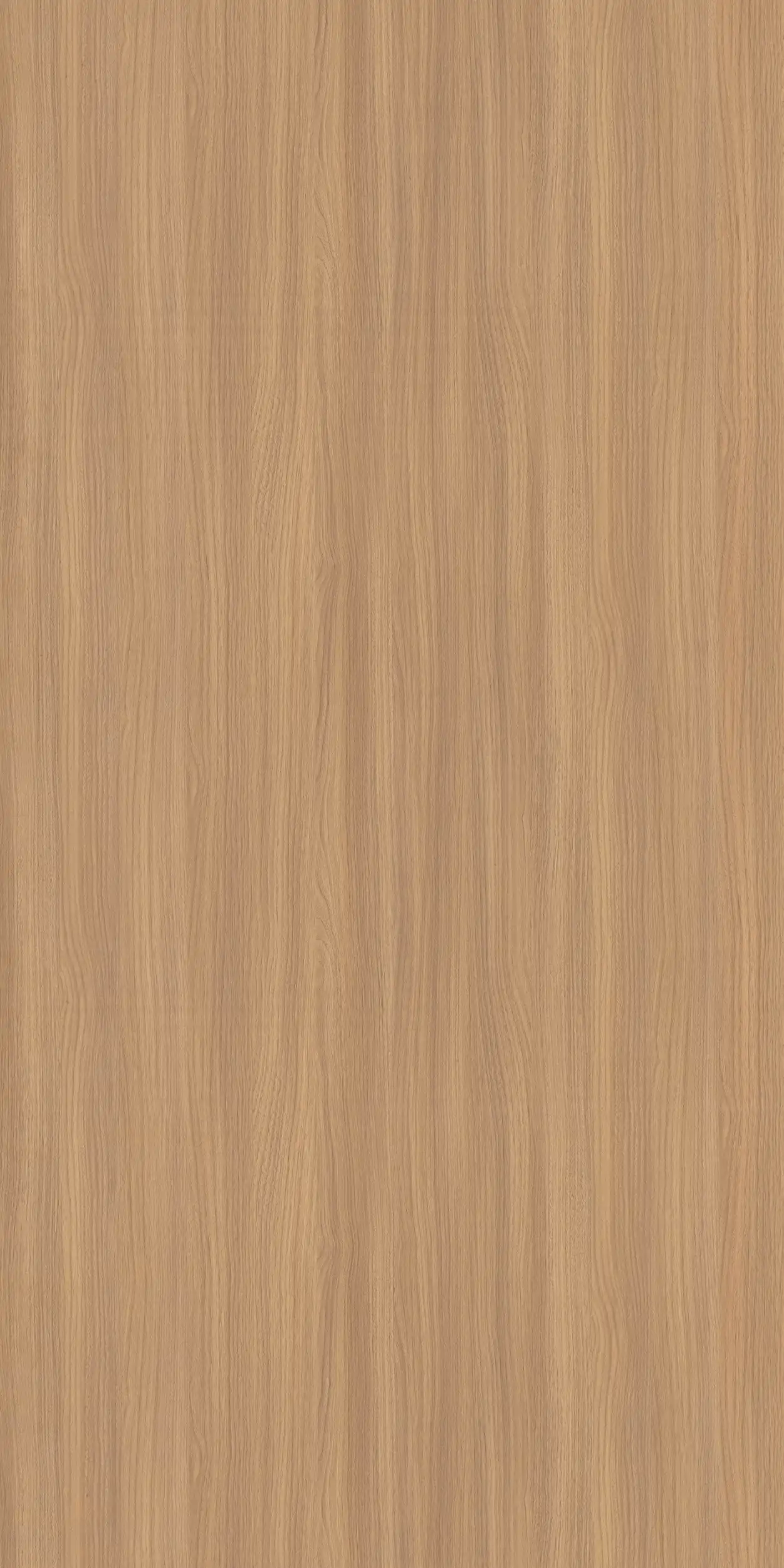 E 149 - Caven Holz Acasia