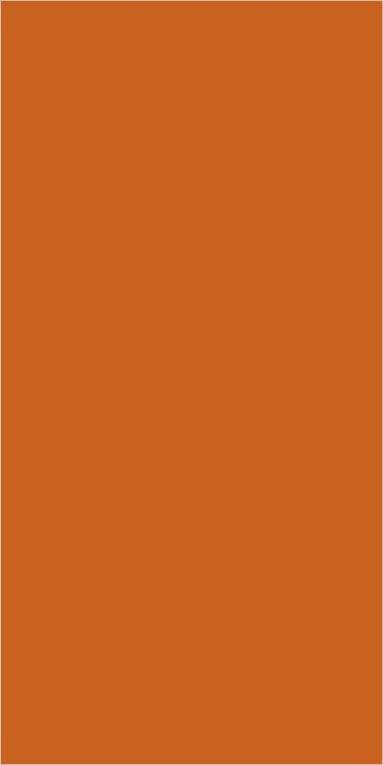 Nagpur Orange