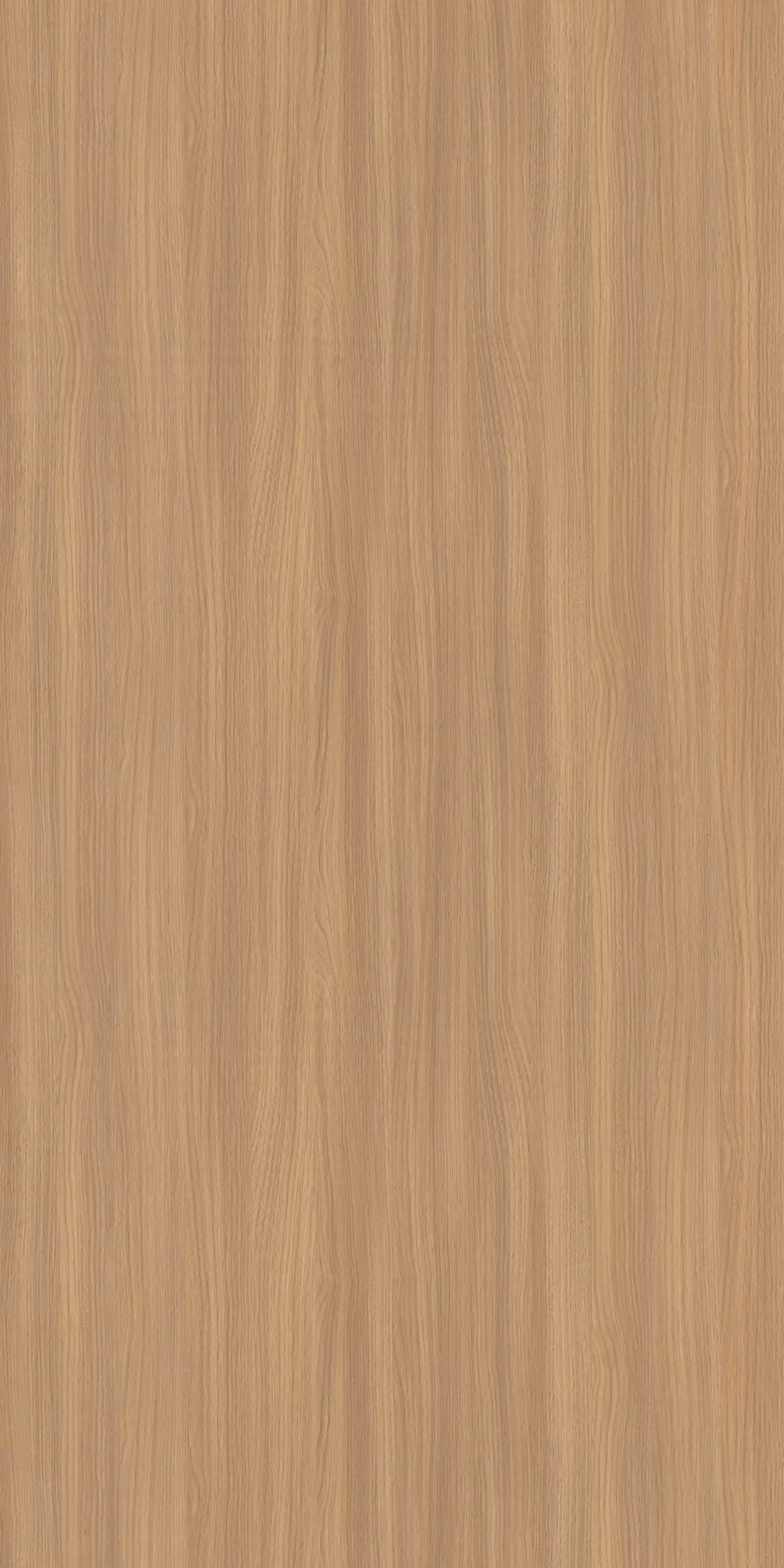 Caven Holz Acasia