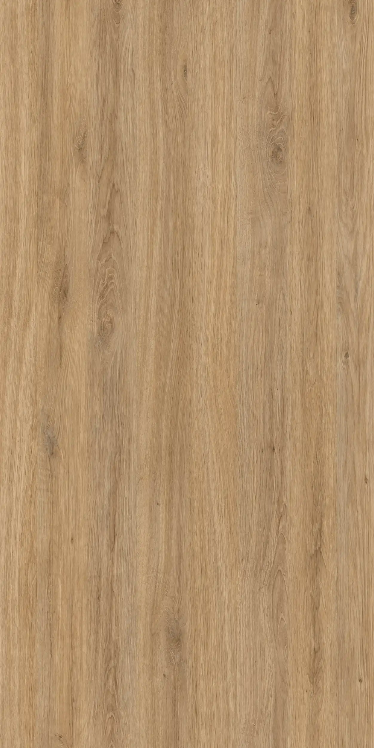 Santana OAK Light