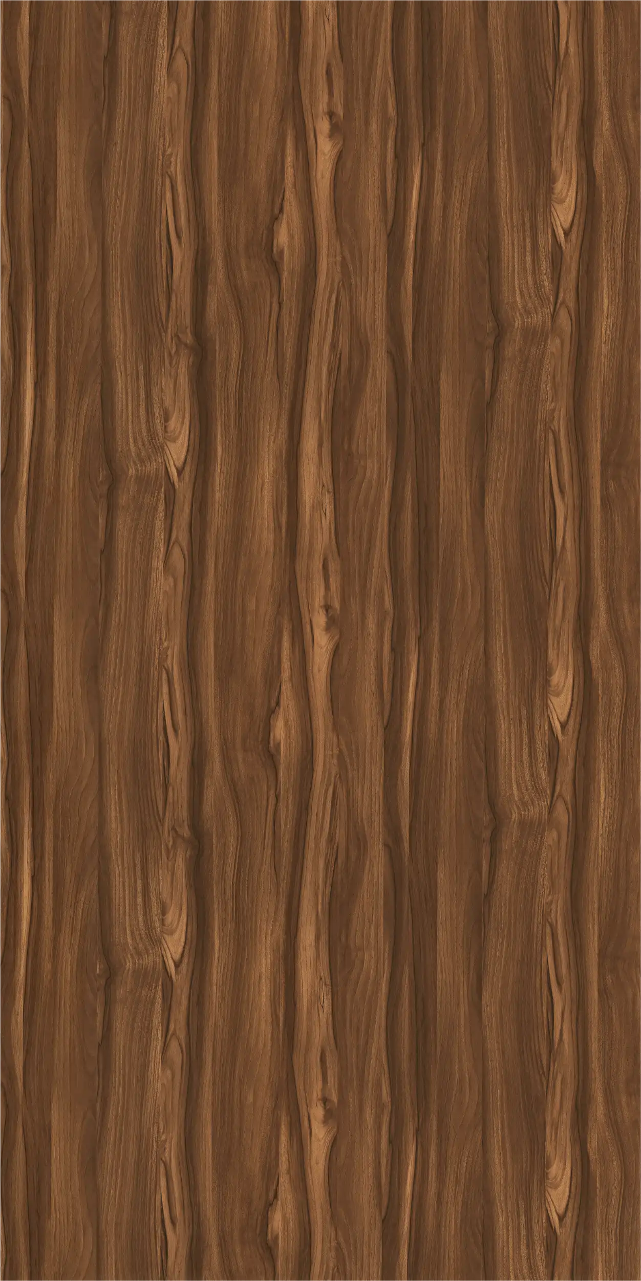 Asian Walnut Dark