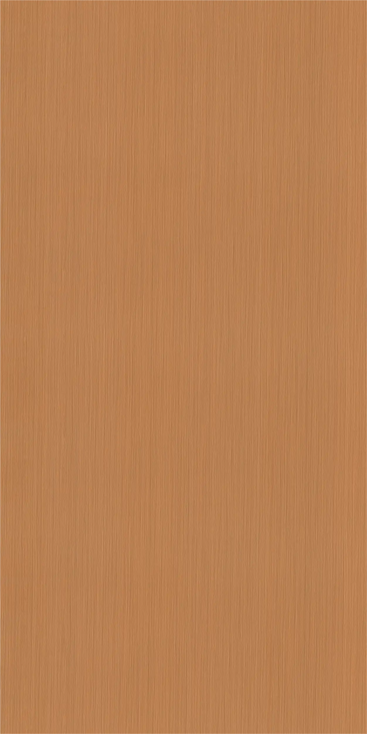 Rovigo ELM