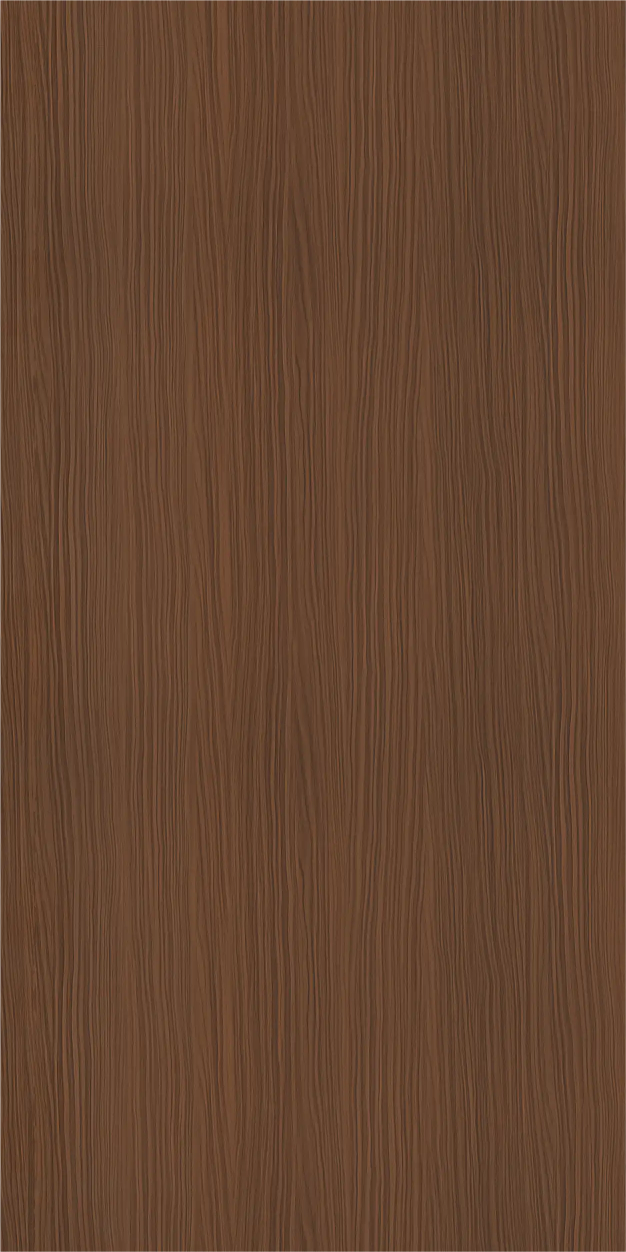 Malay Walnut