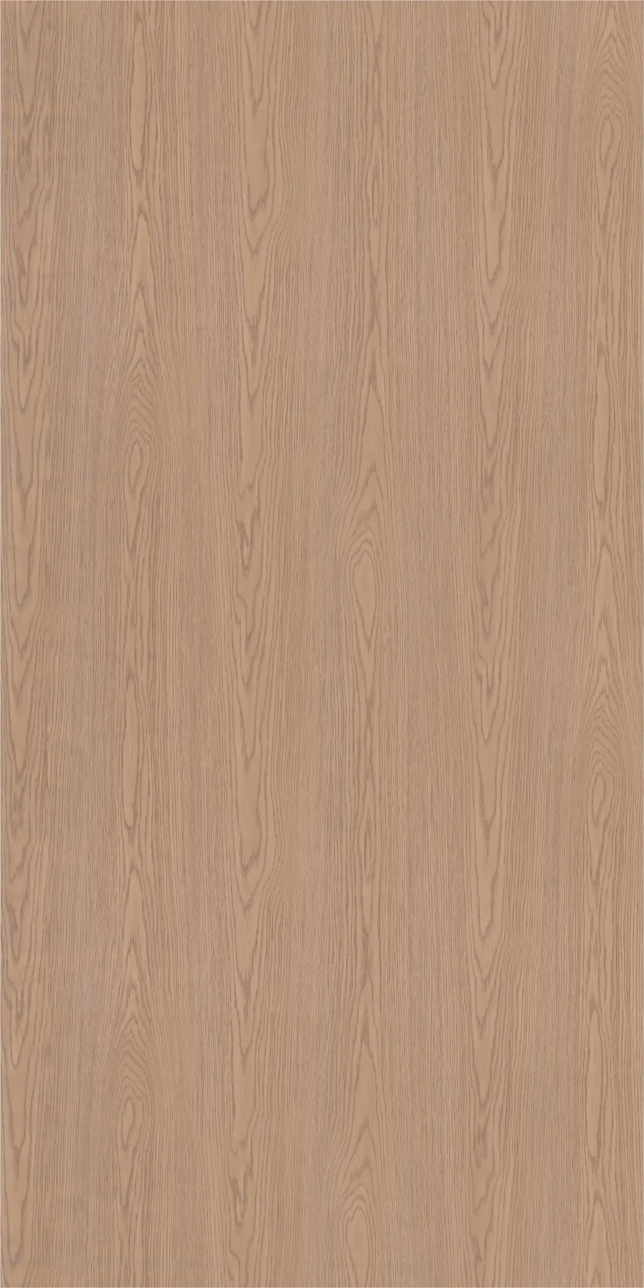 Siberian OAK