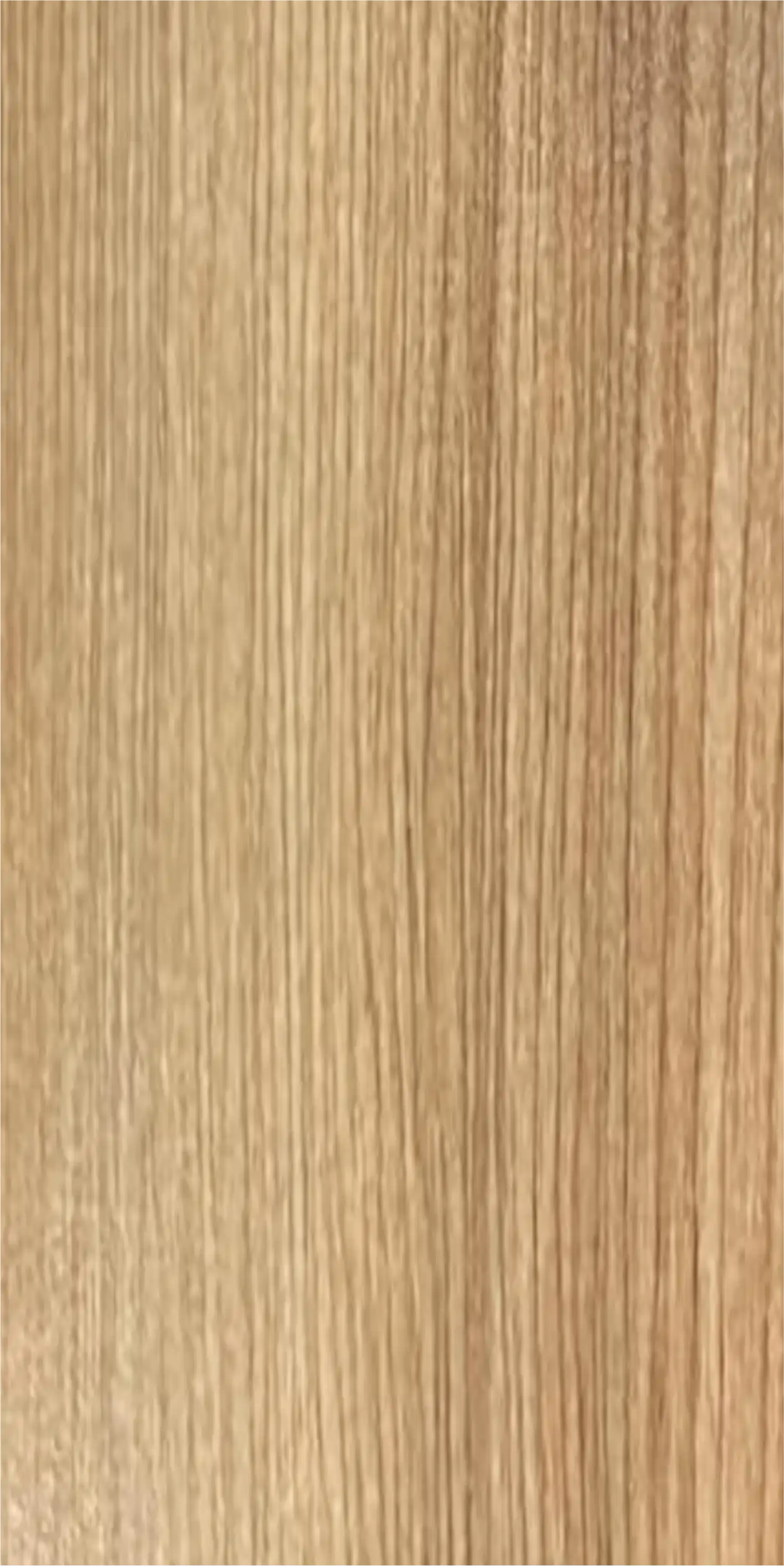 Rolex Teak