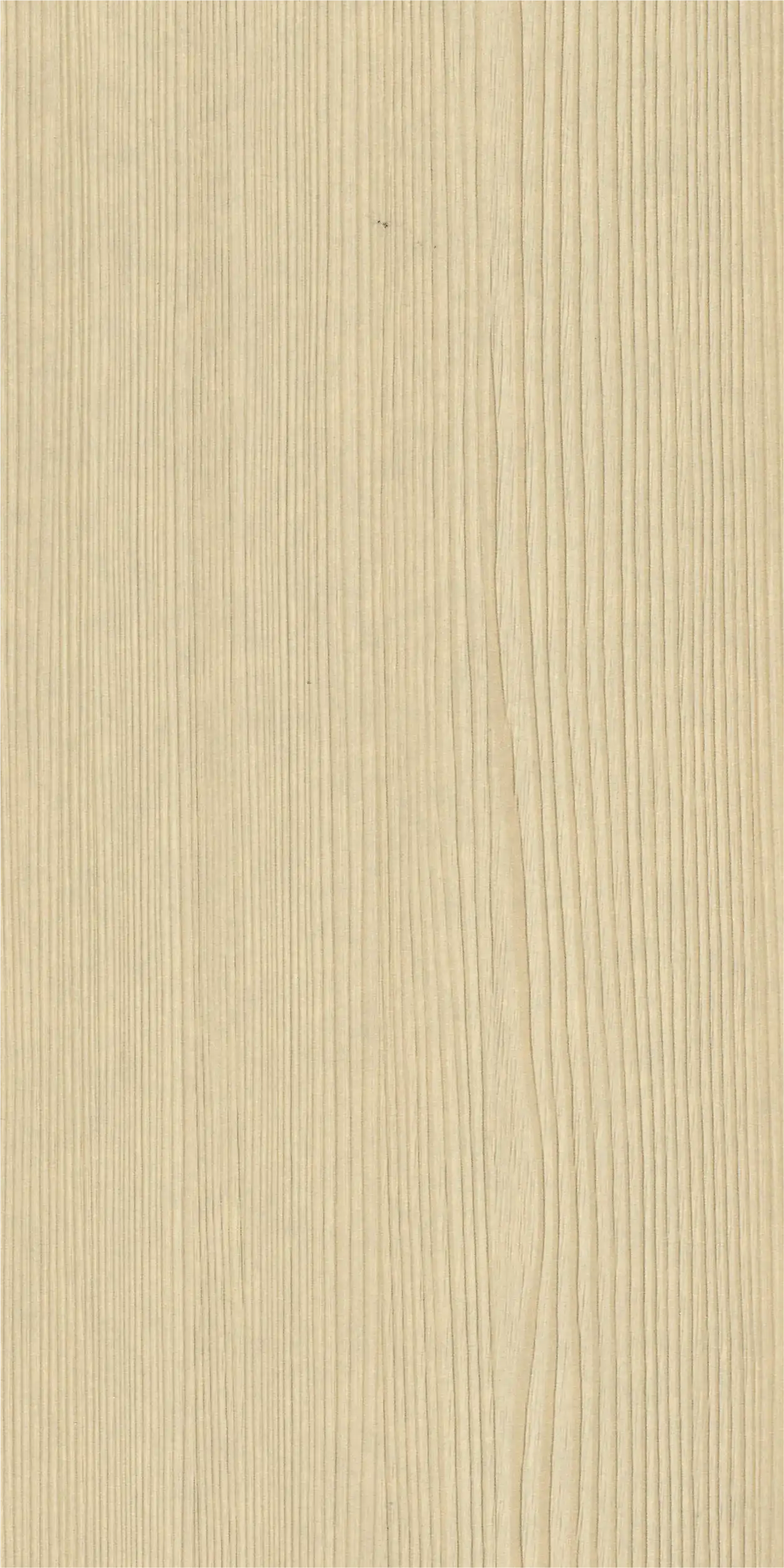 Canadian Larch