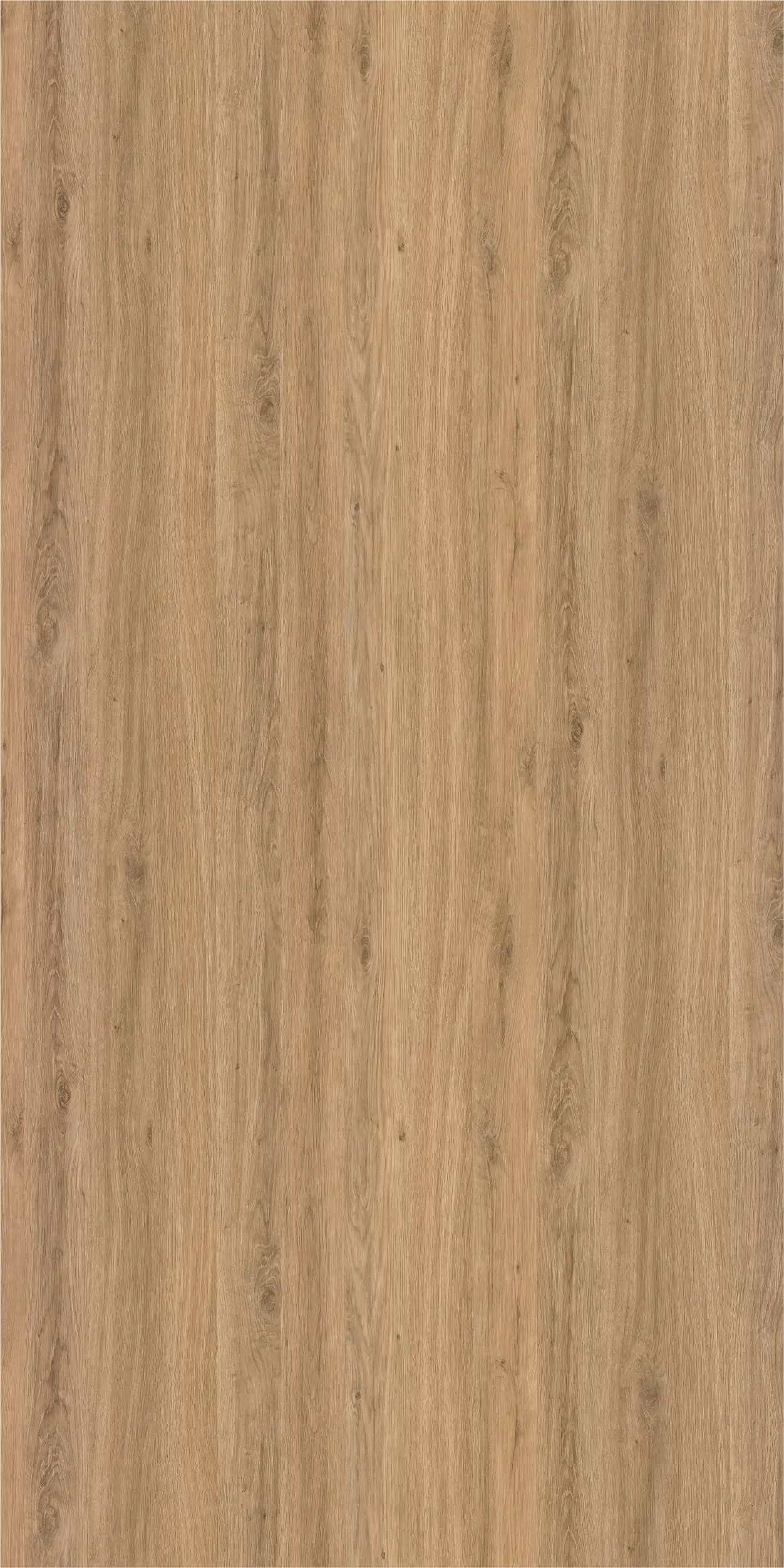 Arizona OAK Light
