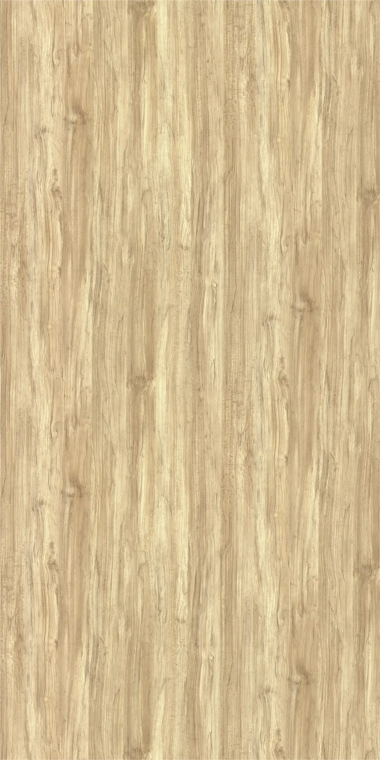 Brussel Wood