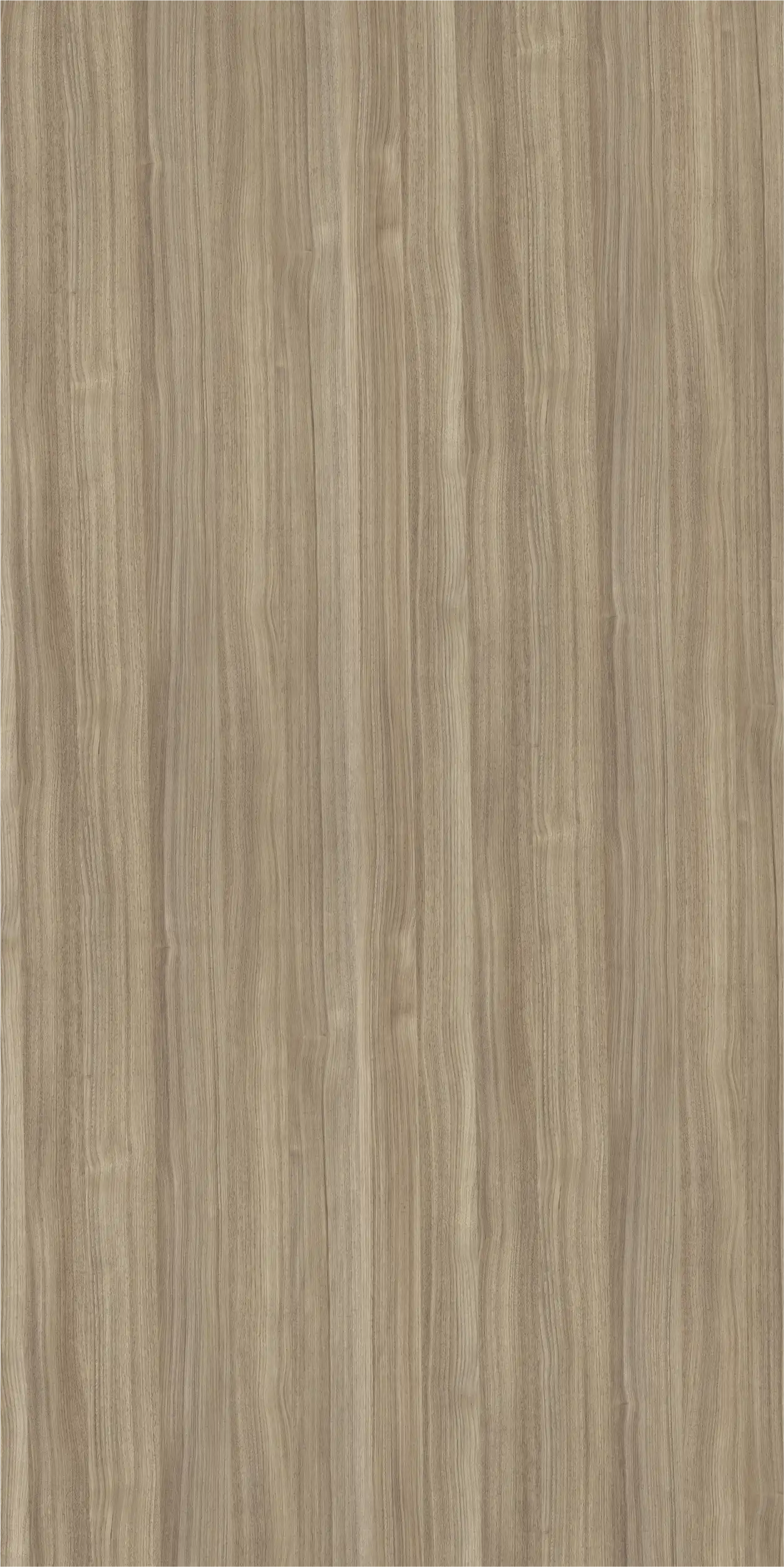 European Teak