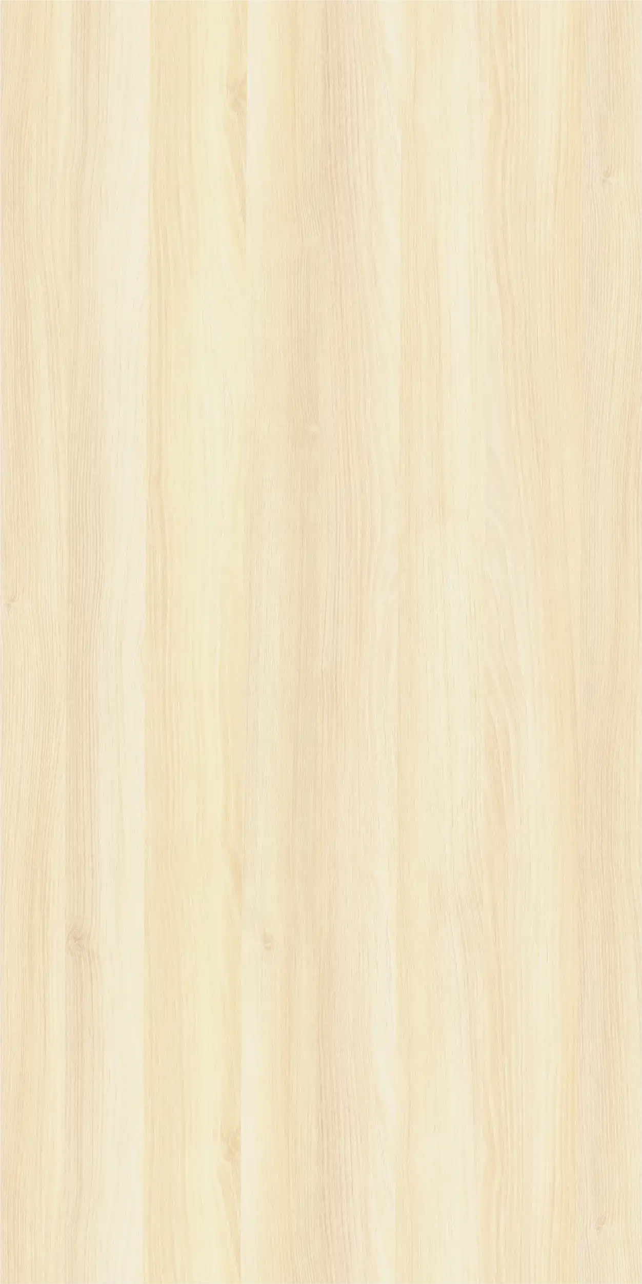Acacia (Light)