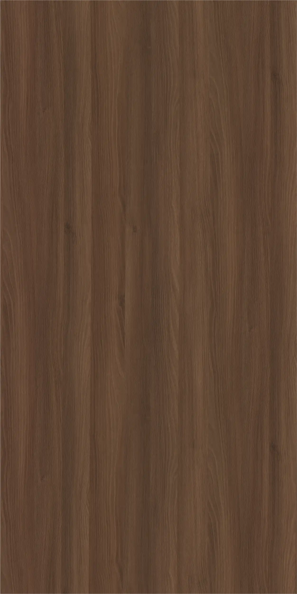 Acacia (Dark)