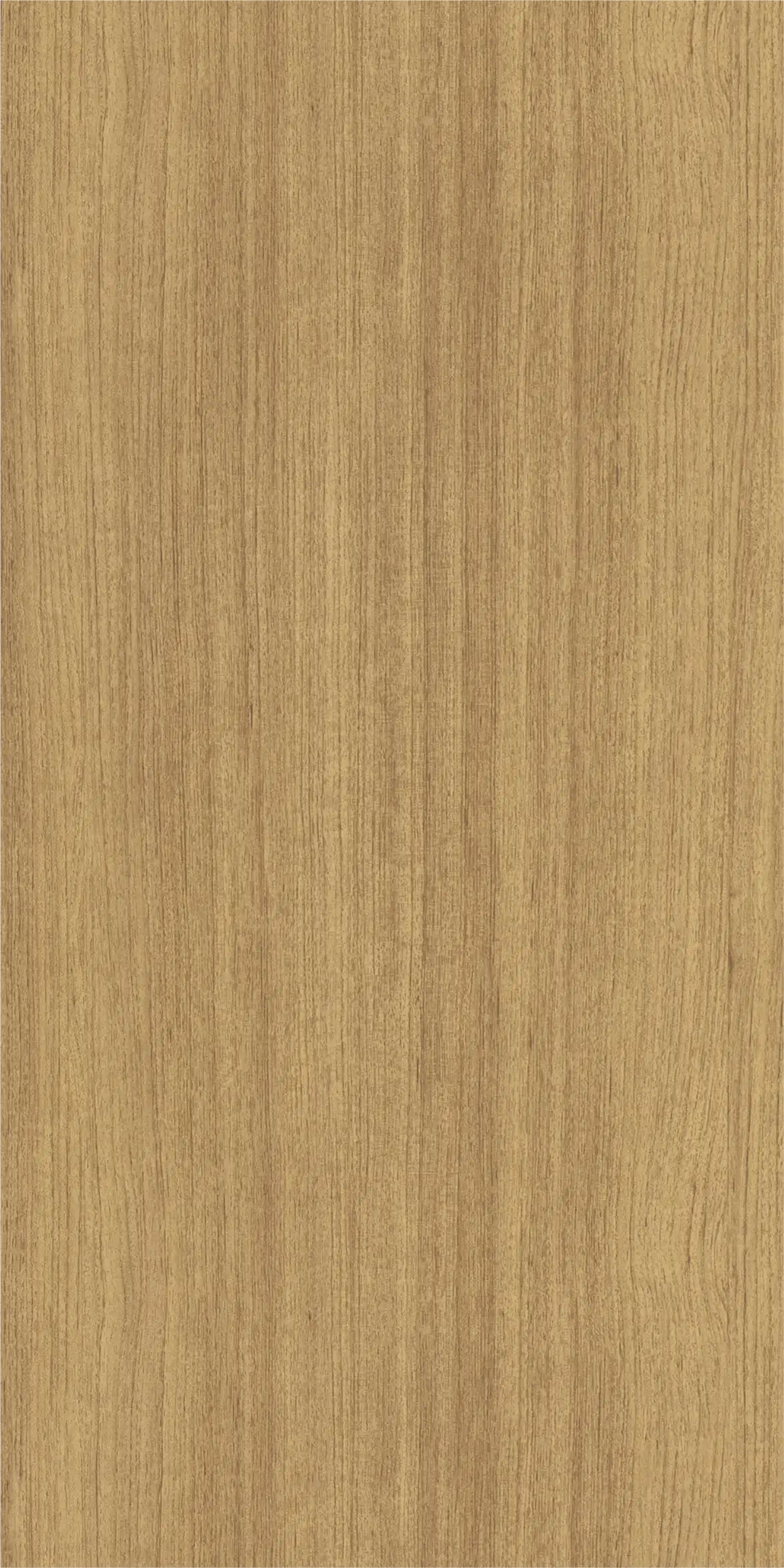 Evergreen Teak