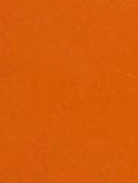Nagpur Orange