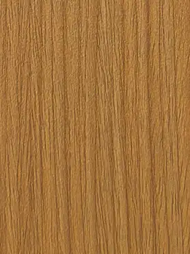 Rovigo ELM