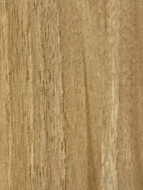 Pacific Wood