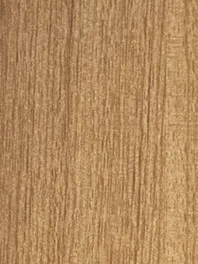 Evergreen Teak