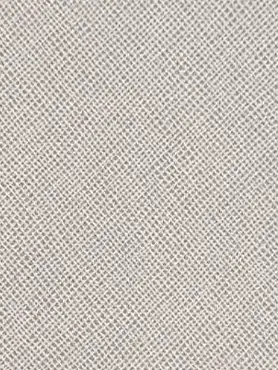 Cotton Fabric