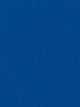Winter Electric Blue